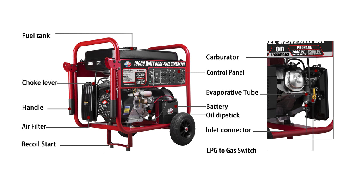 10000 Watt Dual Fuel Portable Generator with Electric Start I207