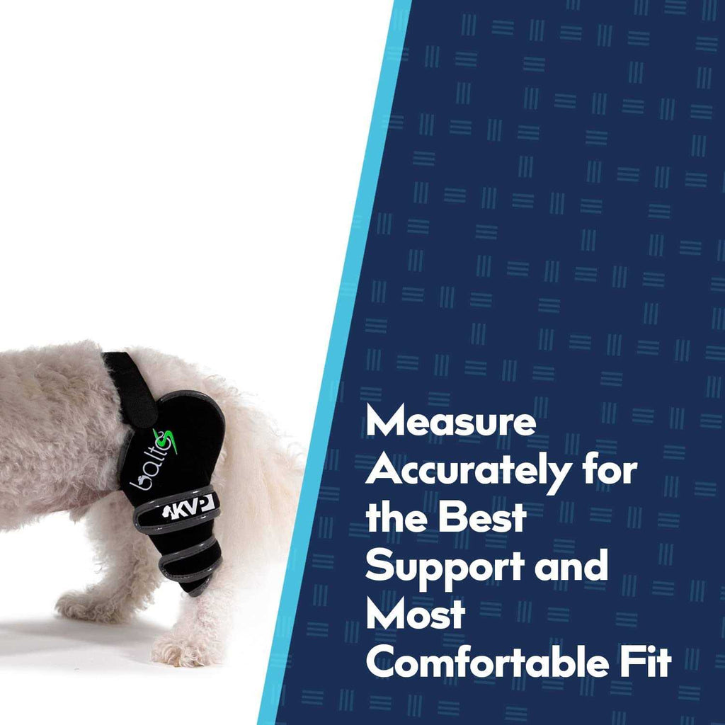 Soft Dog Knee Support D204
